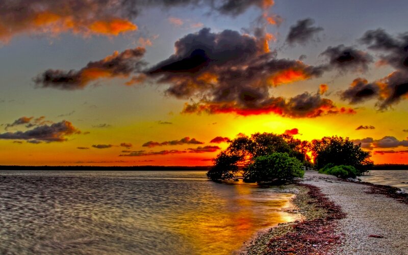 Sunset over Mangrove Island — Orange
