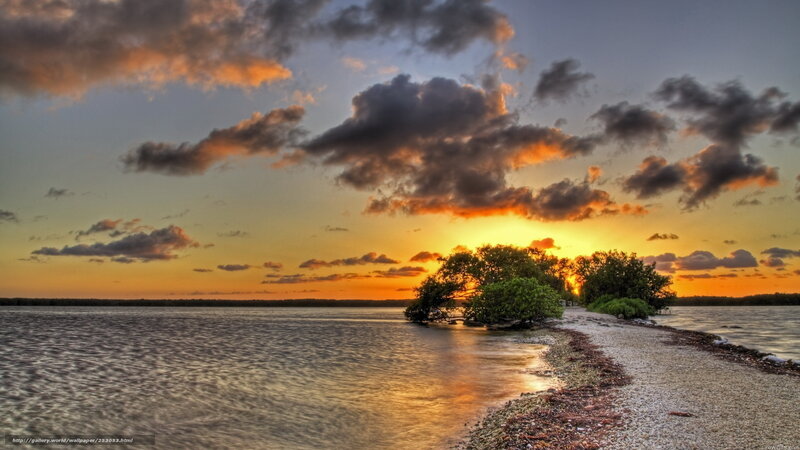 Sunset over mangrove island