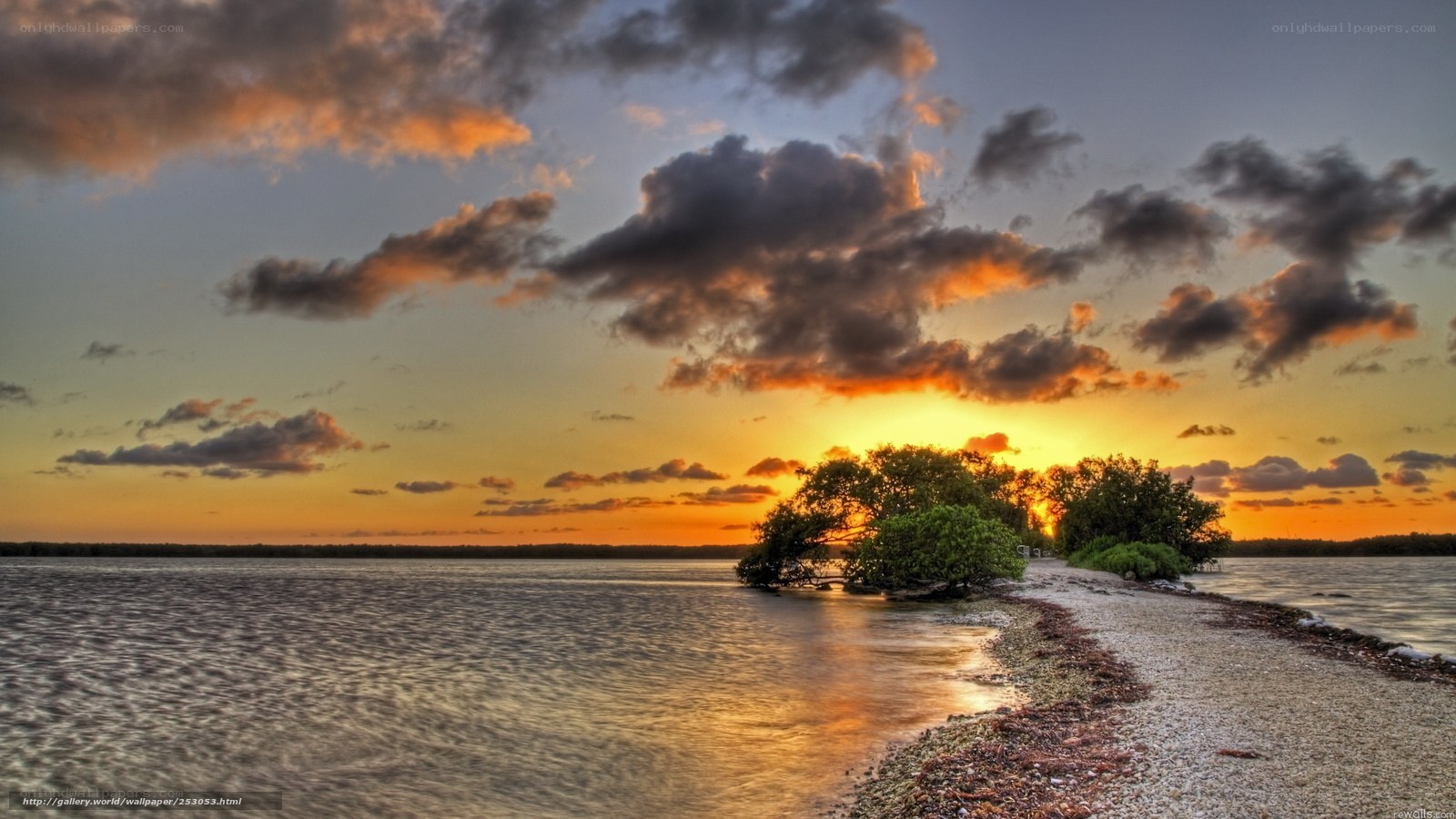 Sunset over mangrove island