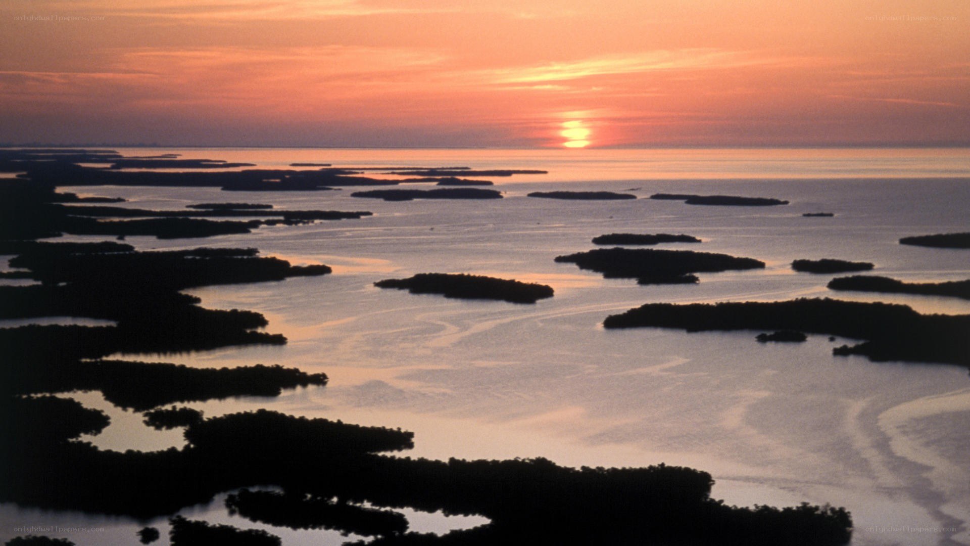 sunset over mangrove islands