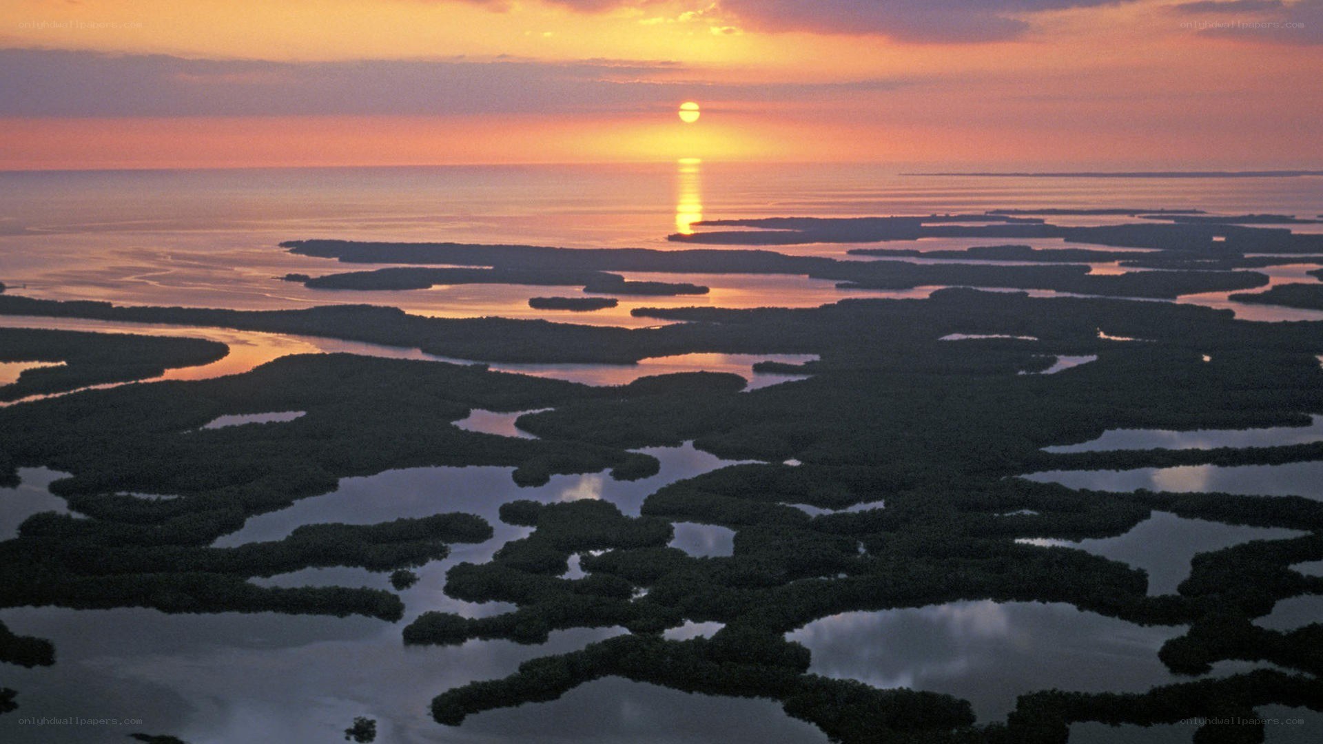 Sunset over mangrove islands