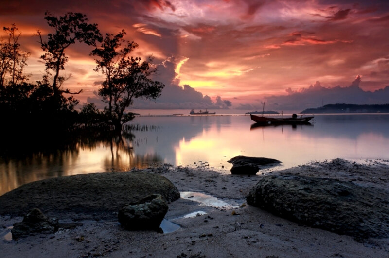 Sunset over Mangrove Shore