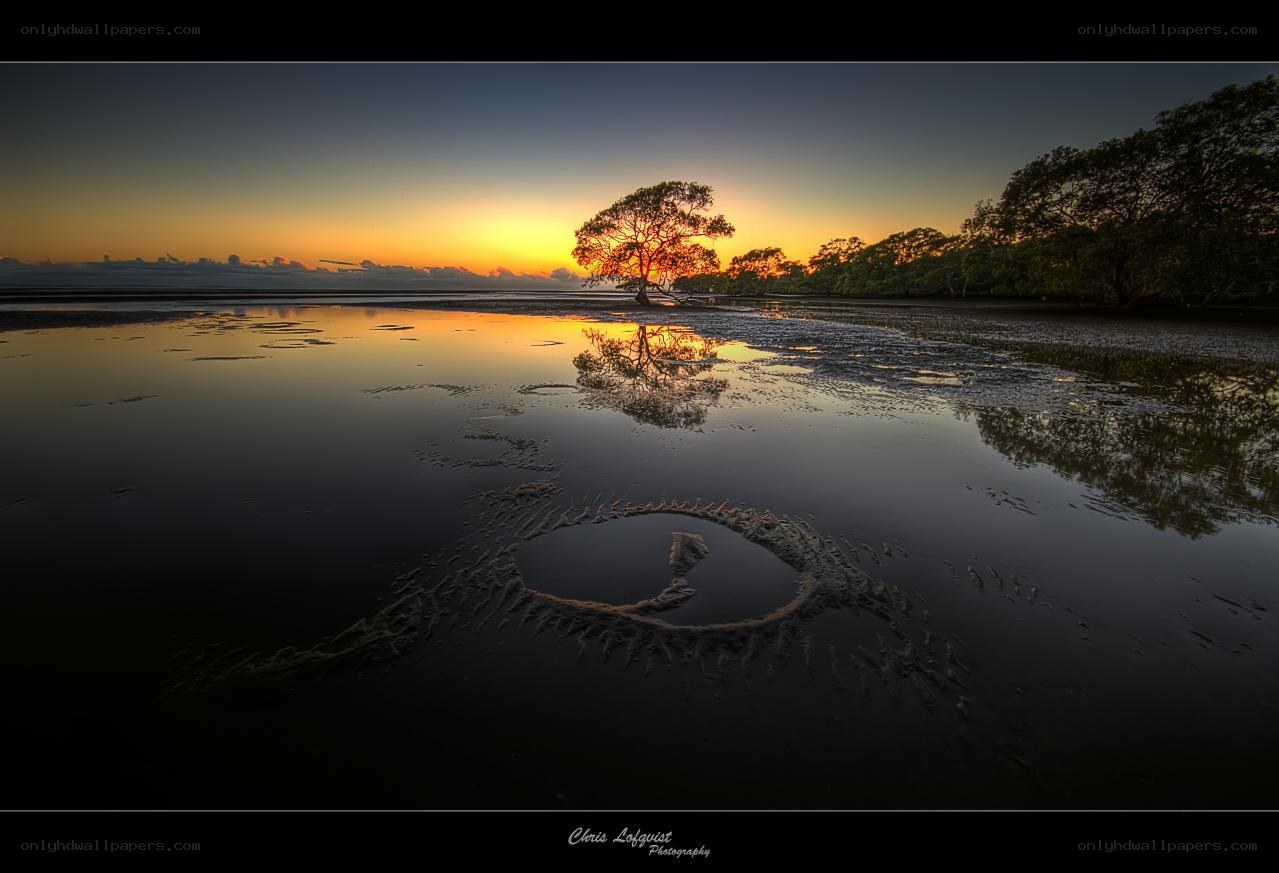 Sunset over mangrove swamp