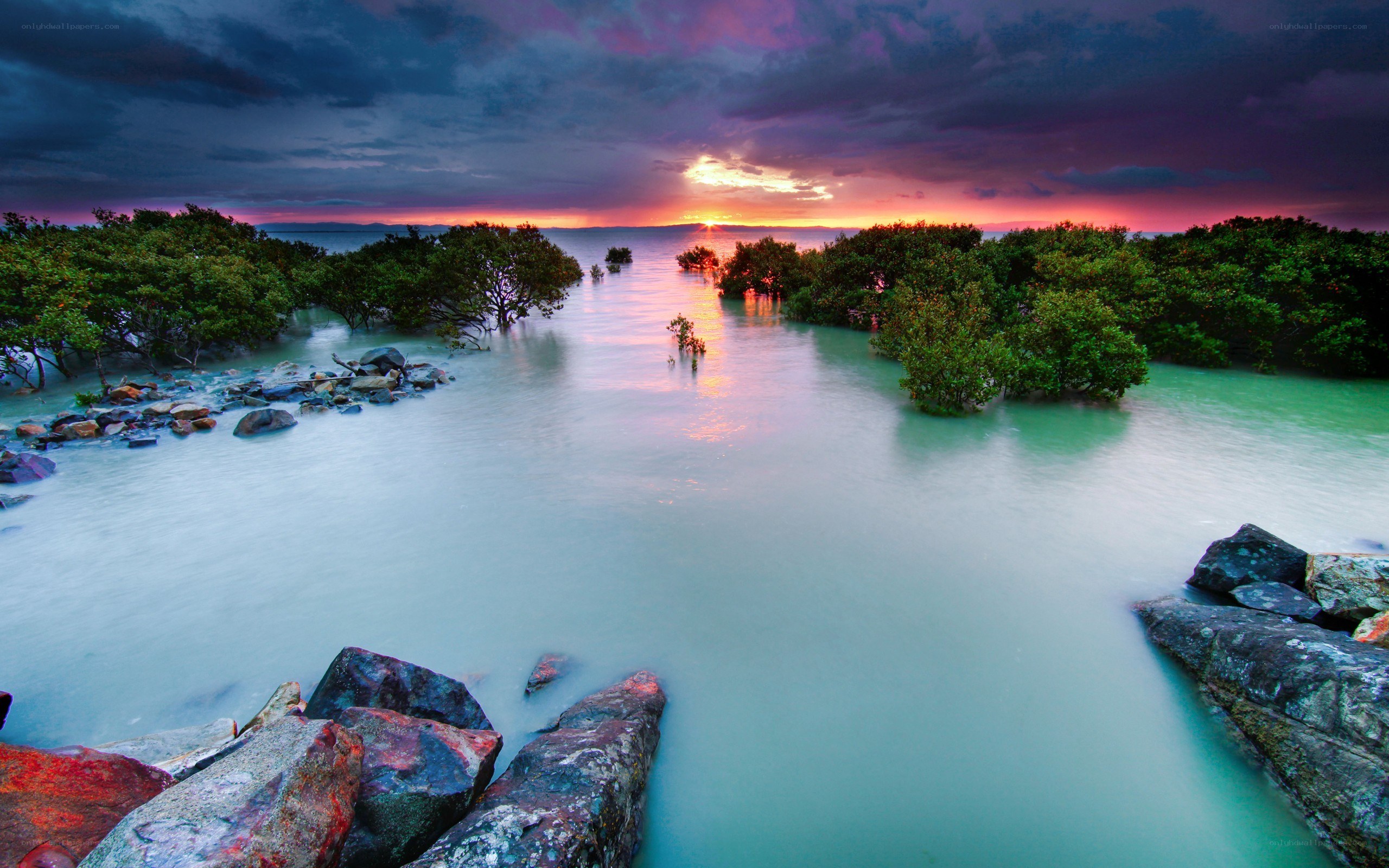 Sunset over mangrove swamp