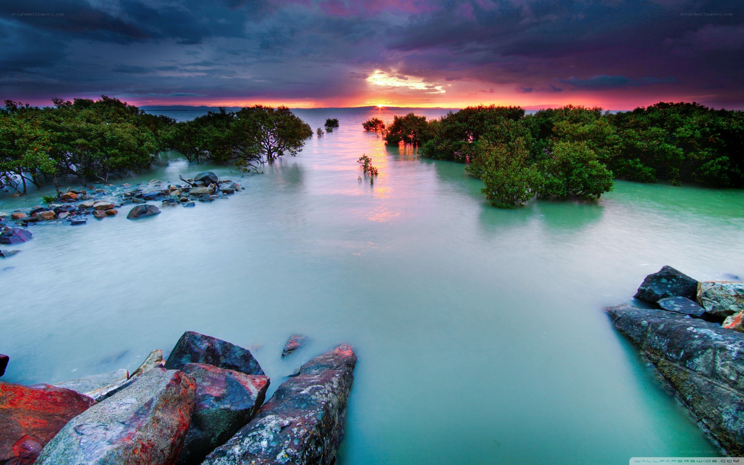 Sunset over mangrove swamp