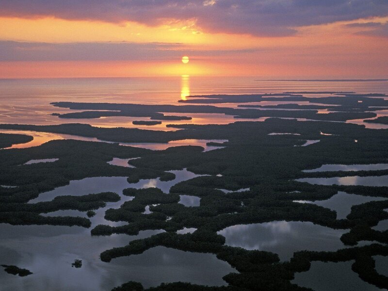 Sunset over mangrove wetlands