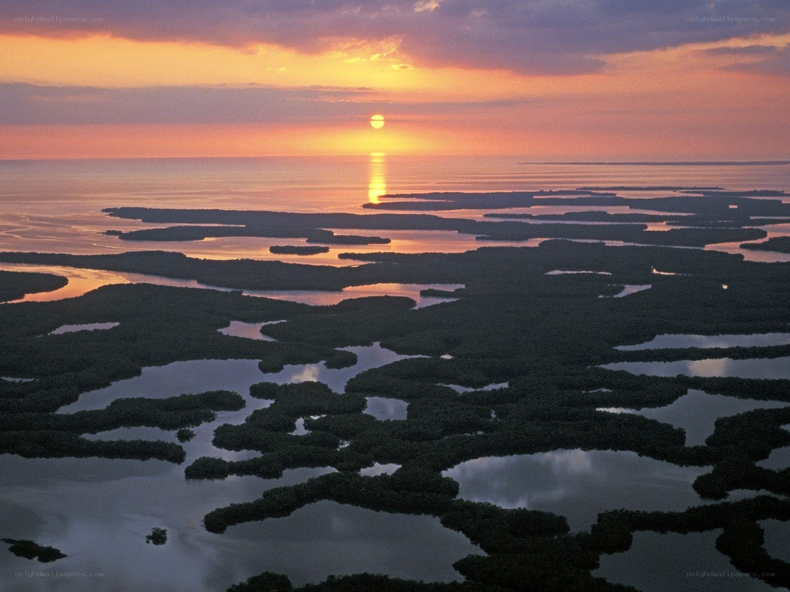 Sunset over mangrove wetlands