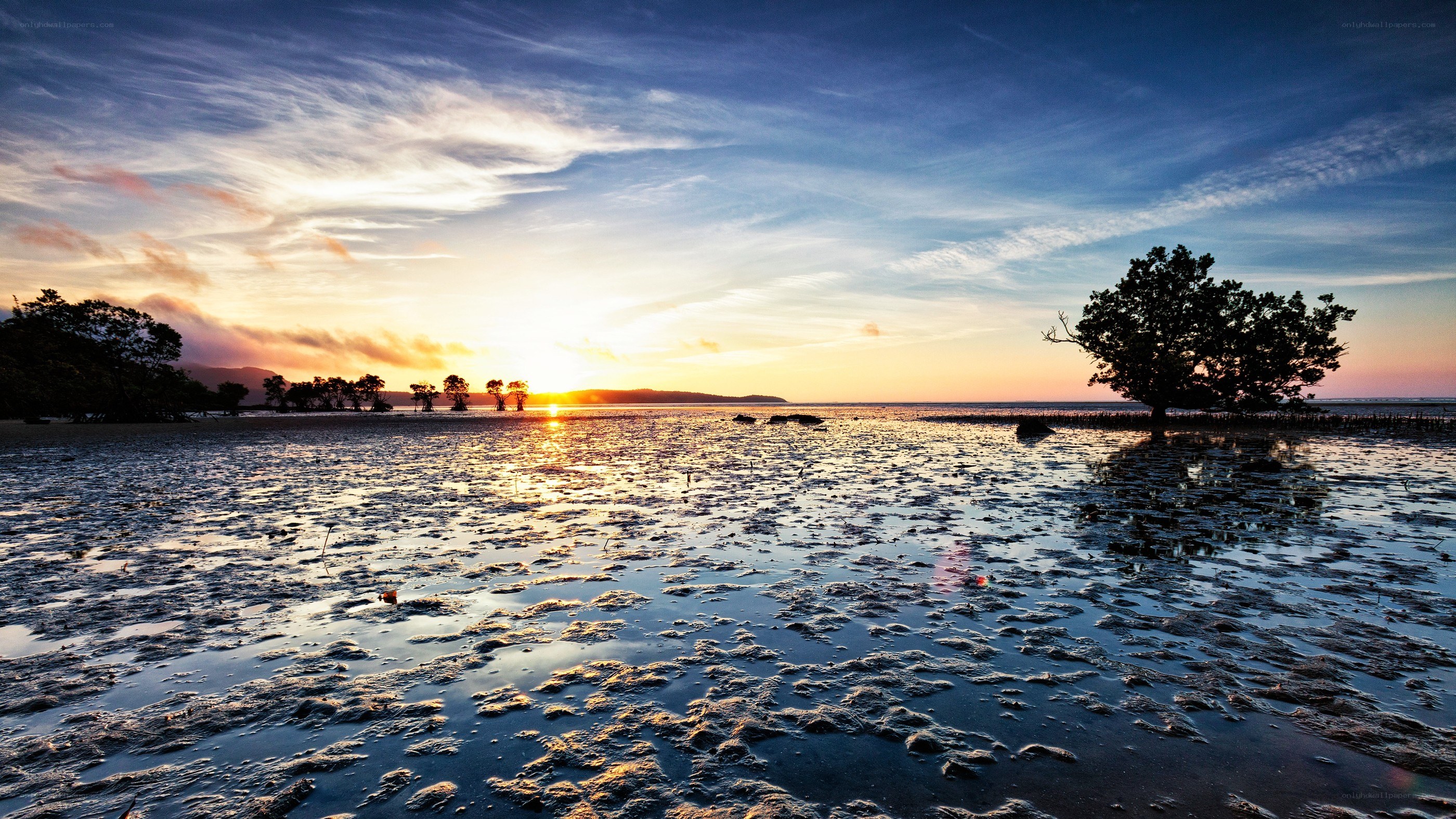 Sunset over mangrove wetlands