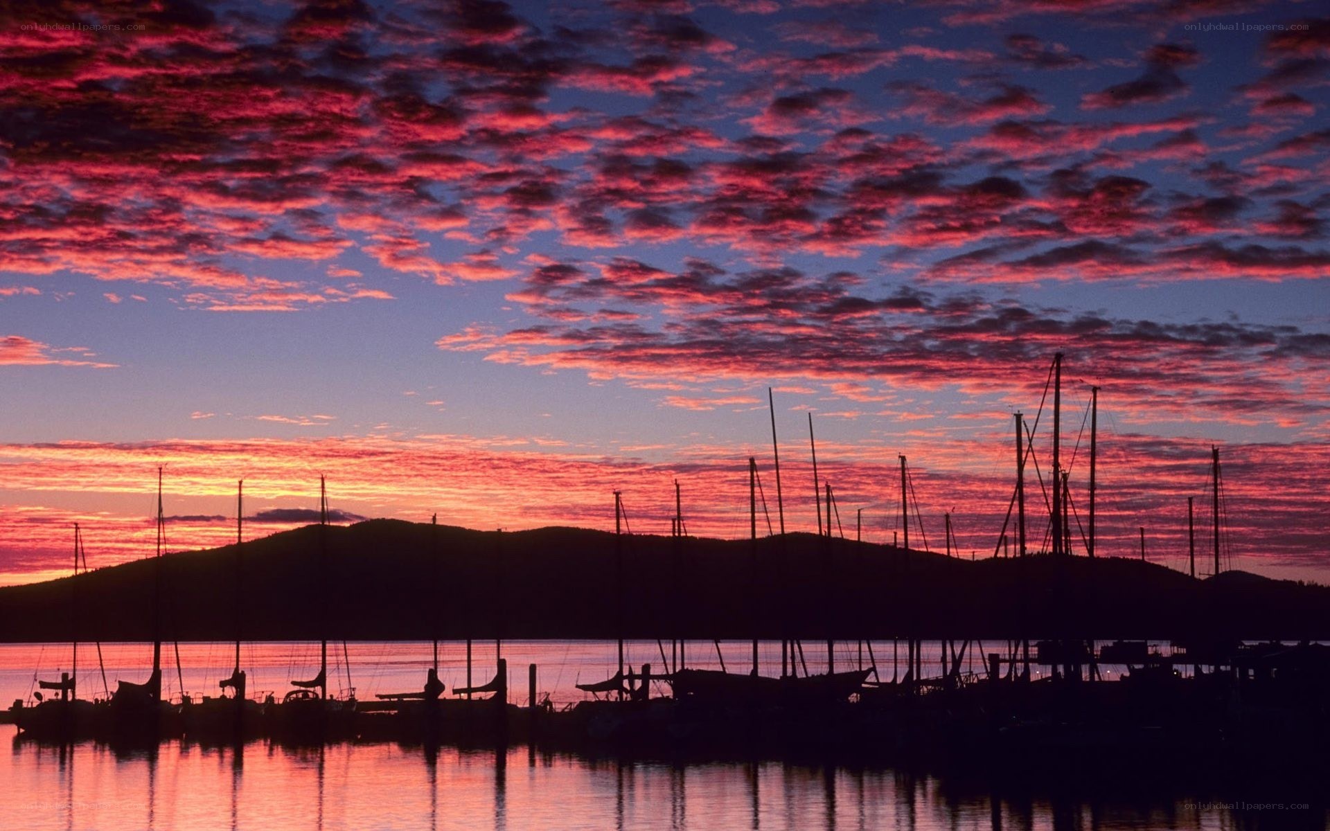 sunset over marina with sailboats