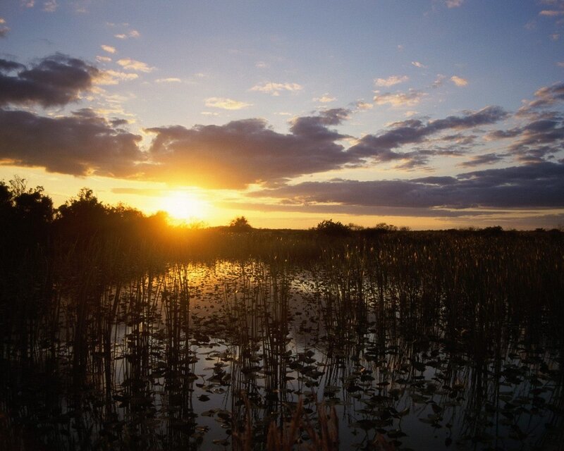 Sunset over Marsh — Blue, Serene, Photograph, Sun, Clouds, Reeds