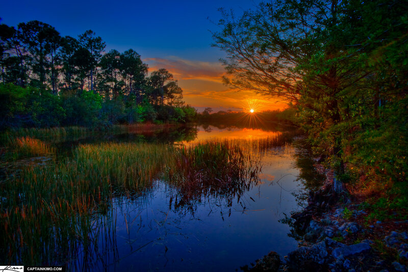 Sunset over Marsh — Blue, Serene