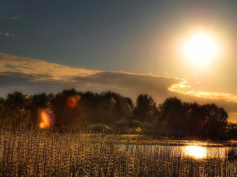 Sunset over Marsh — Gold