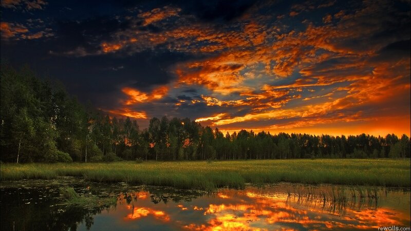 Sunset over Marsh — Orange, Dramatic, Photograph, Sky, Trees, Water, Dark Blue, Green