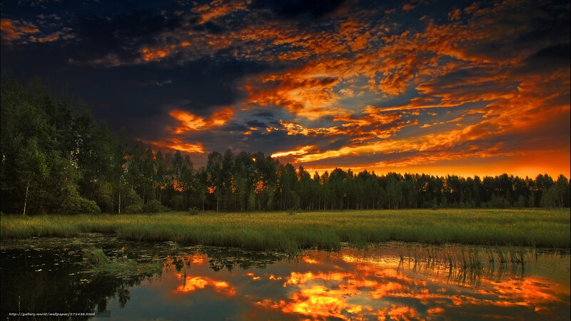 Sunset over Marsh — Orange, Dramatic, Photograph, Sky, Trees, Water