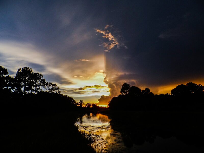 Sunset over Marsh — Orange, Dramatic, Photograph, Trees