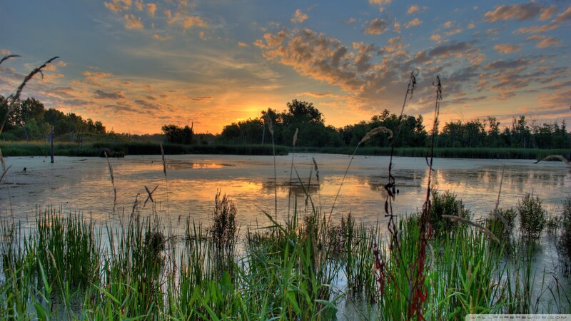 Sunset over Marsh — Orange, Serene, Photograph, Sky