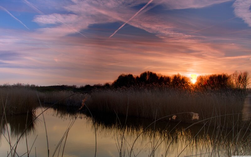 Sunset over Marsh — Orange, Serene, Photograph, Sun