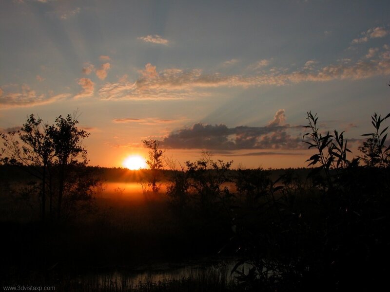 Sunset over Marsh — Orange, Serene, Photograph, Sun, Trees