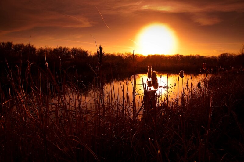 Sunset over Marsh — Orange, Serene, Photograph, Sun, Water