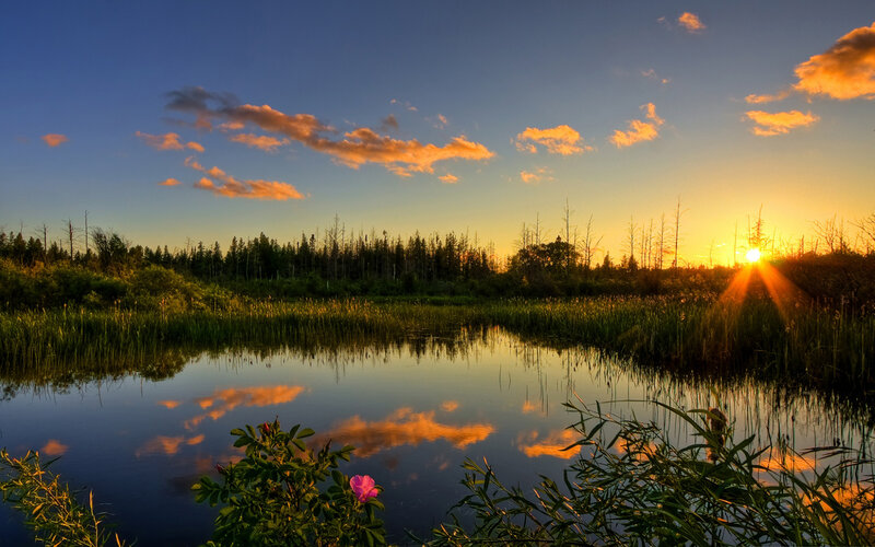 Sunset over Marsh Pond — Blue, Serene, Photograph, Sun