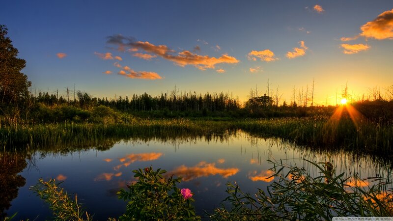 Sunset over Marsh Pond — Blue, Serene, Photograph