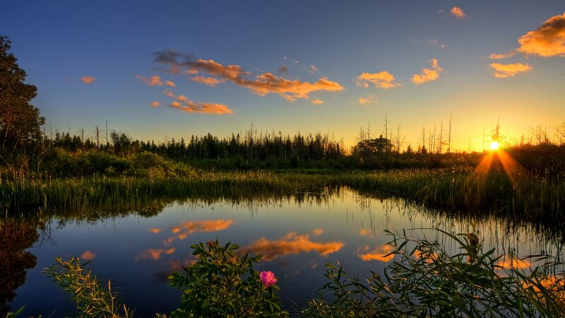 Sunset over Marsh Pond — Blue