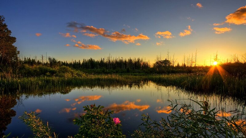Sunset over Marsh Pond