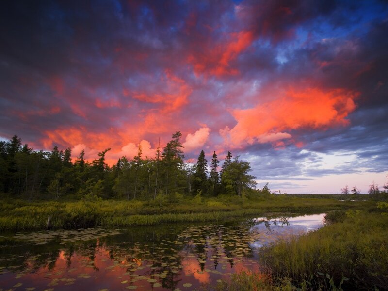 Sunset over Marsh — Red, Dramatic
