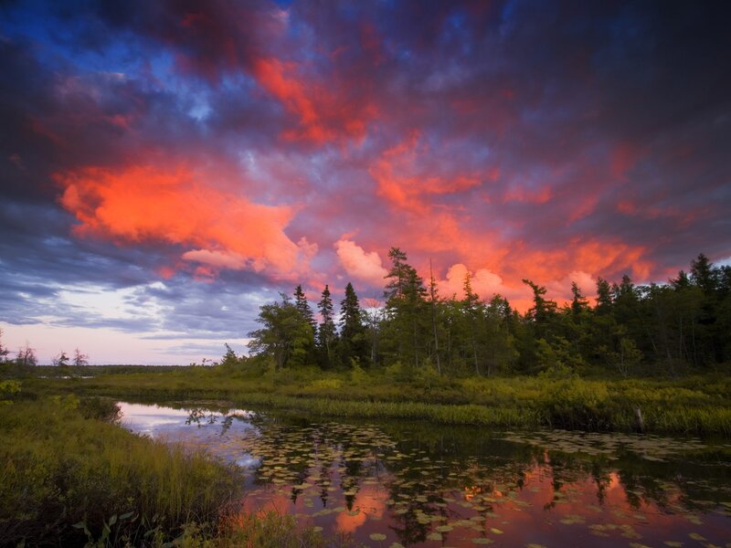 Sunset over Marsh — Red