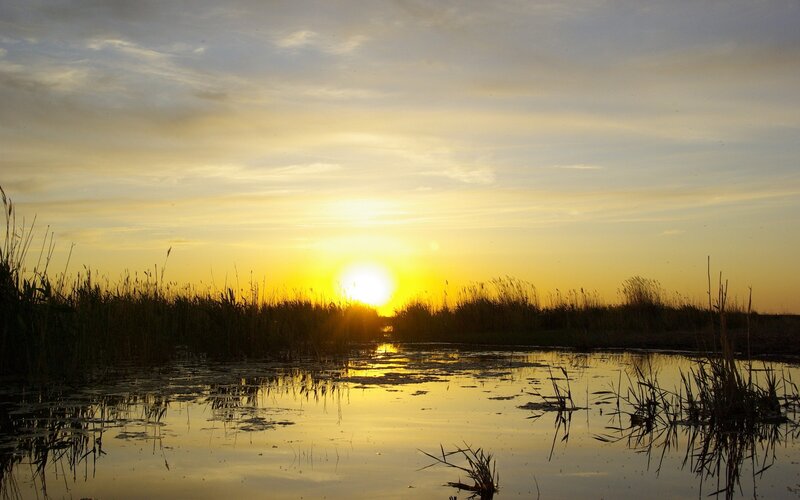 Sunset over Marsh — Yellow, Serene