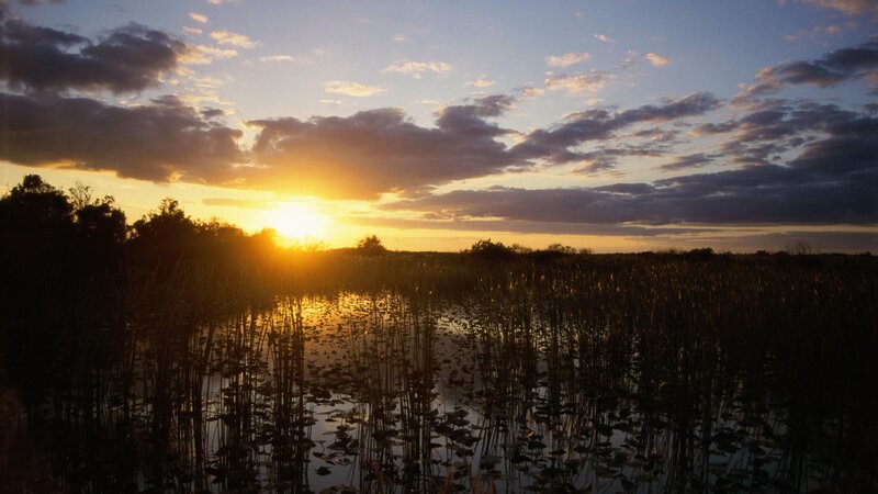 Sunset over Marsh — Yellow