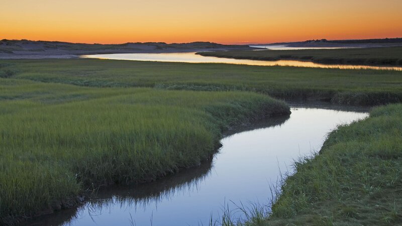 sunset over marshland