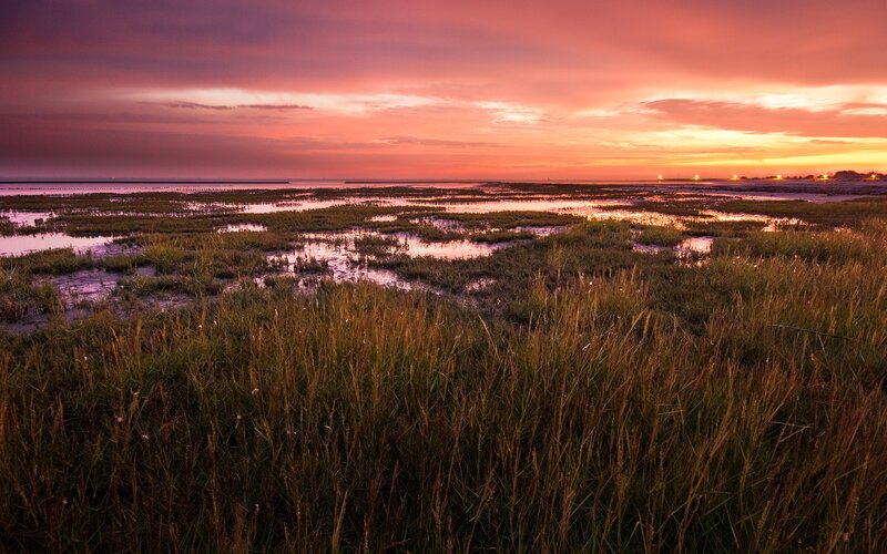 Sunset over marshland