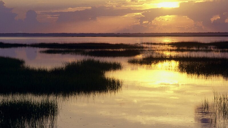 Sunset over marshland