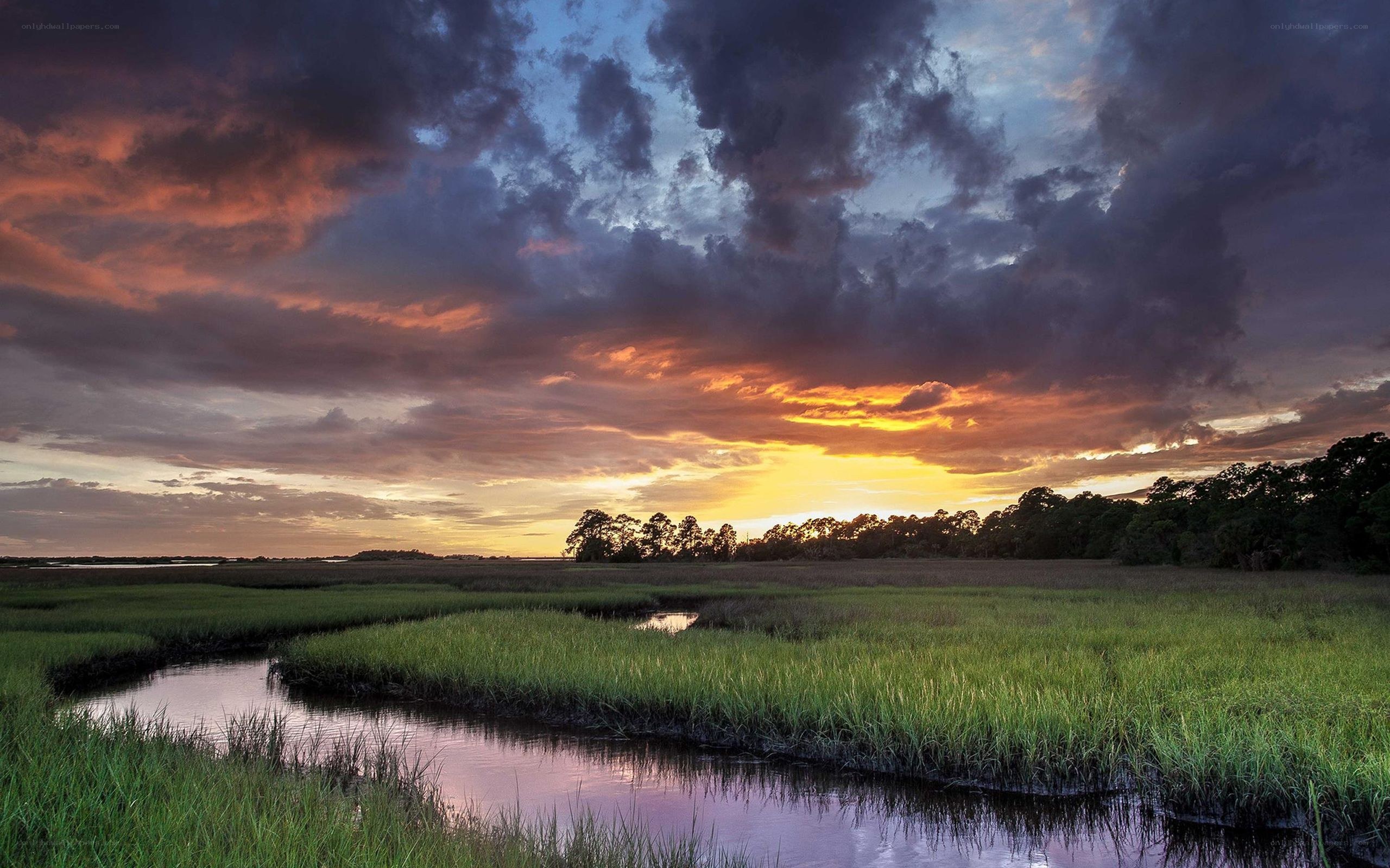 Sunset over marshland