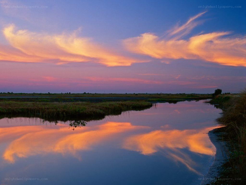 Sunset over marshland