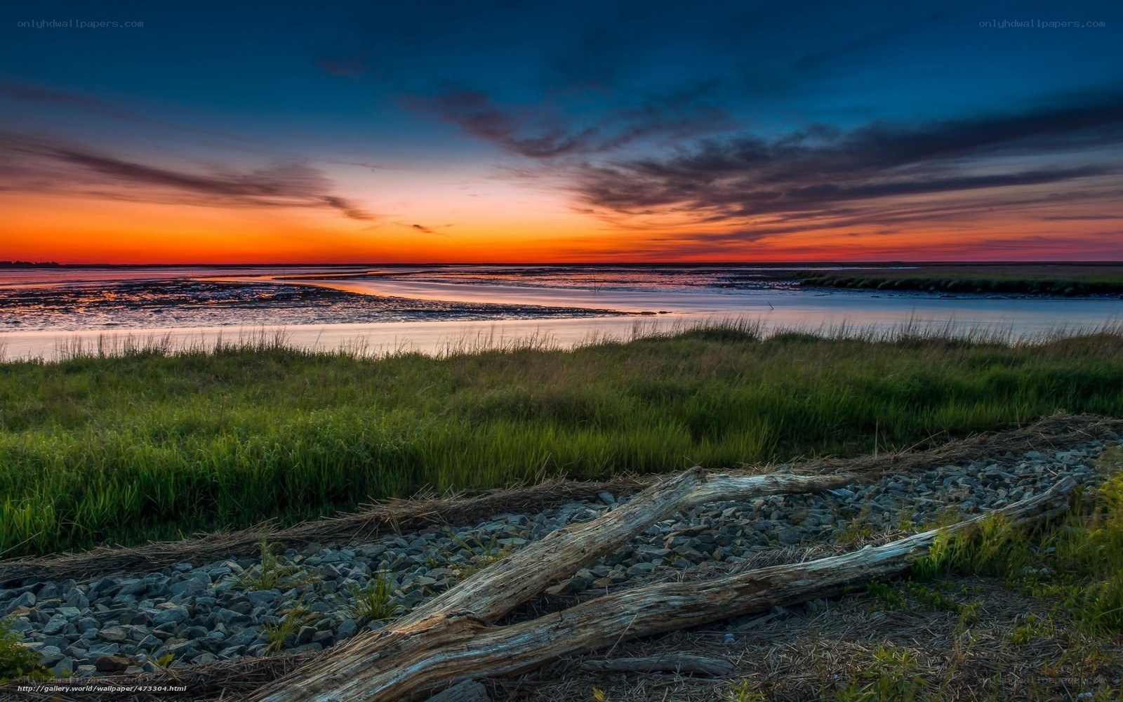 Sunset over marshland