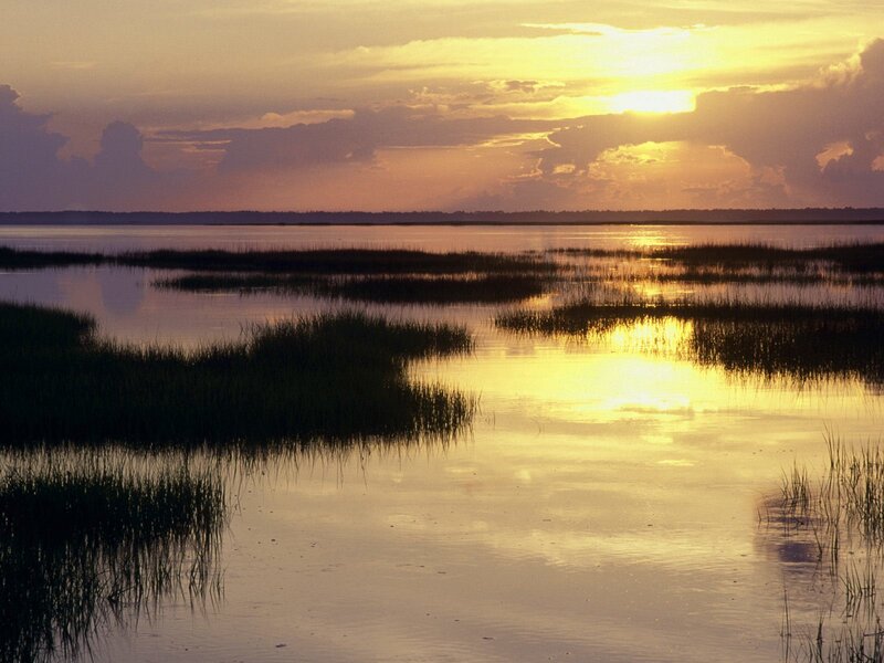 Sunset over marshland