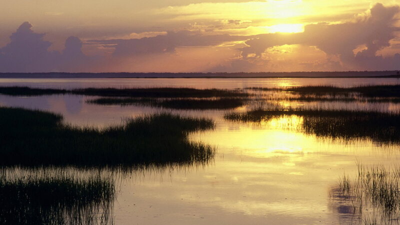 Sunset over marshland