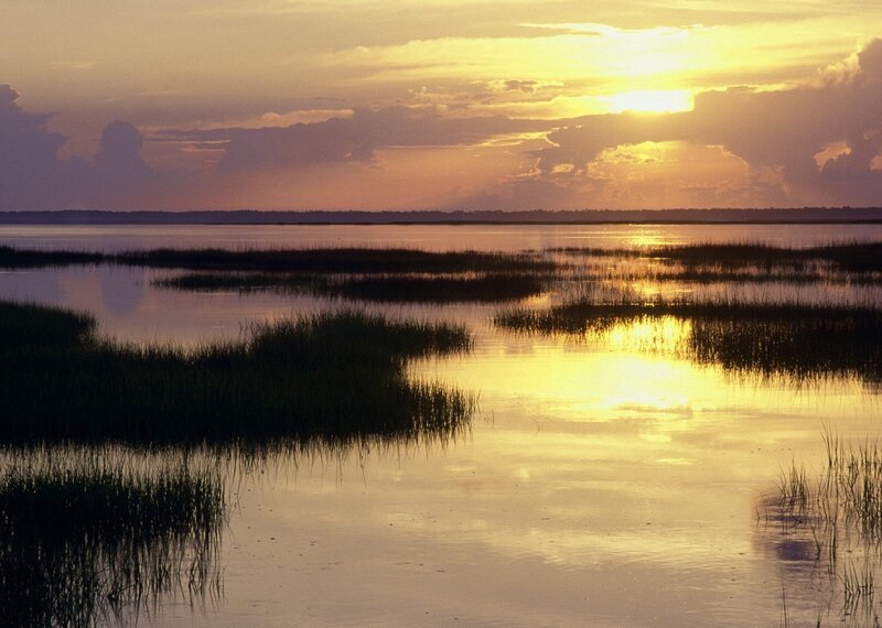 Sunset over marshland