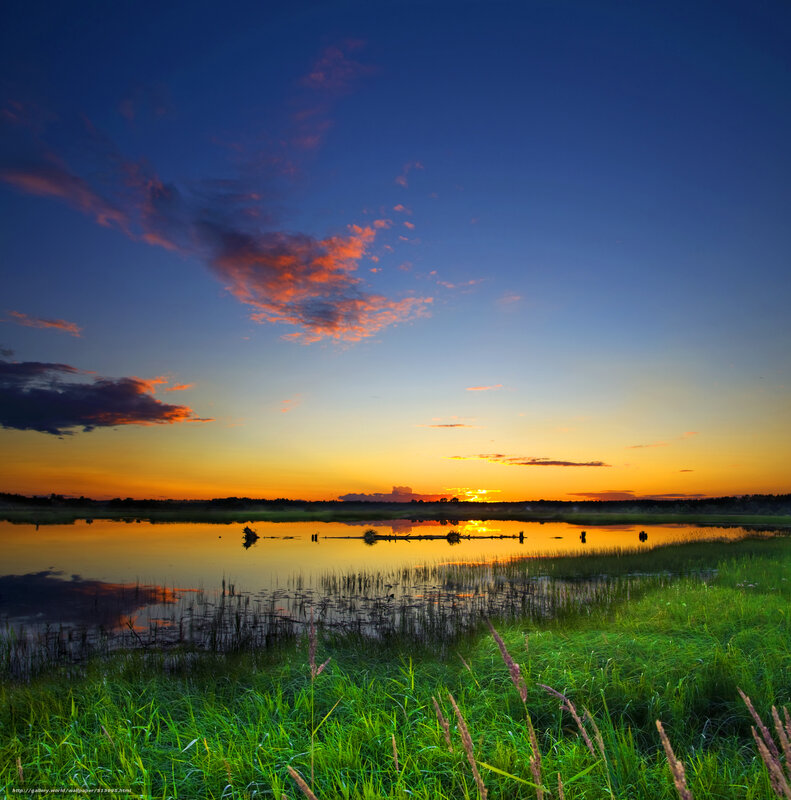 Sunset over Marshland — Blue, Serene, Photograph