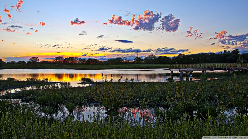 Sunset over Marshland — Blue, Serene