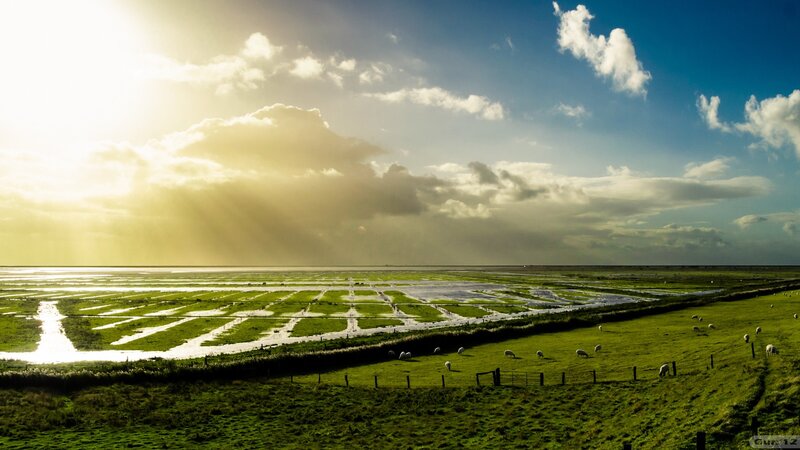 Sunset over marshland fields