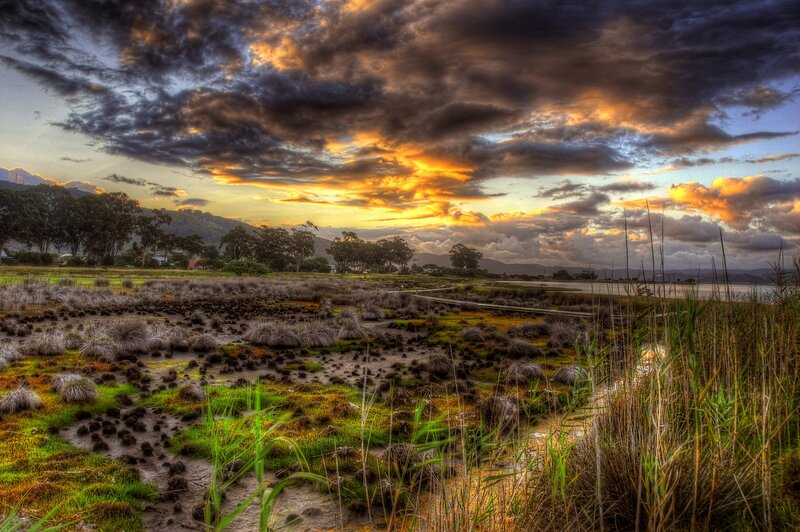 Sunset over marshland landscape