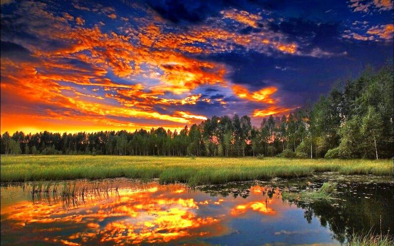 Sunset over Marshland — Orange, Dramatic, Photograph, Sky
