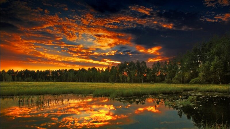 Sunset over Marshland — Orange, Dramatic, Photograph, Sky, Trees
