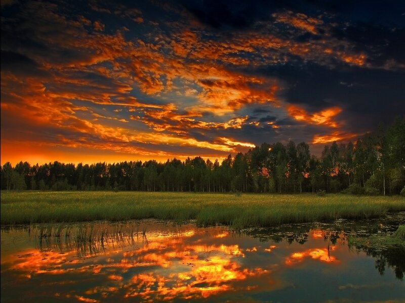 Sunset over Marshland — Orange, Dramatic, Photograph, Sky, Trees, Water