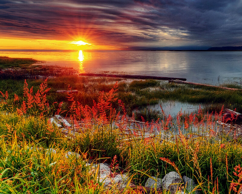 Sunset over Marshland — Orange, Dramatic, Photograph, Sun, Water