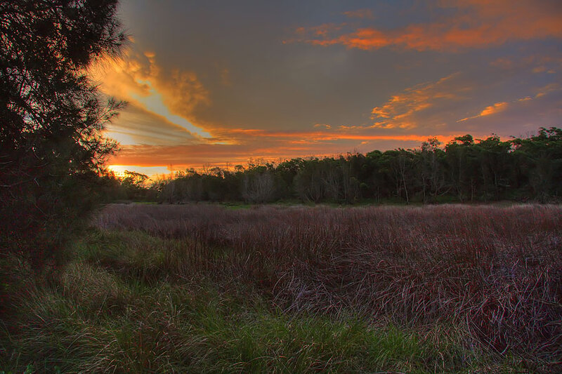 Sunset over Marshland — Orange, Dramatic, Photograph