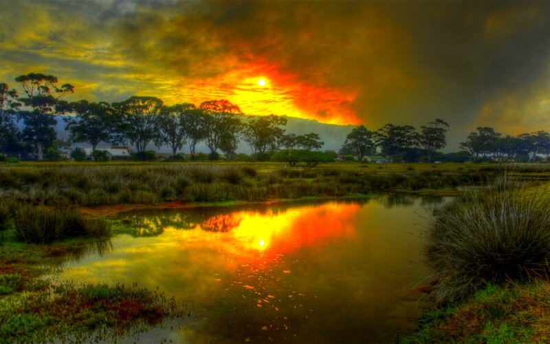 Sunset over Marshland — Orange, Dramatic, Photograph, Trees, Pond